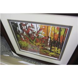 FRAMED LIMITED EDITION PRINT