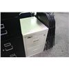 Image 1 : FIREKING TURTLE 2DRW. FIREPROOF FILE CABINET