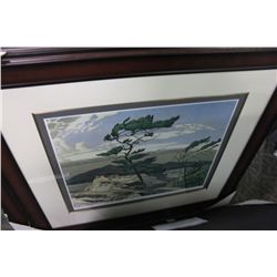 FRAMED LIMITED EDITION PRINT