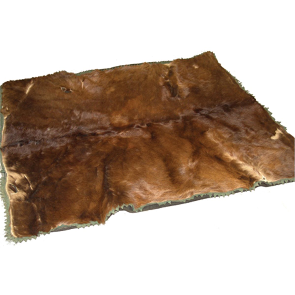 Bearskin Lap Robe