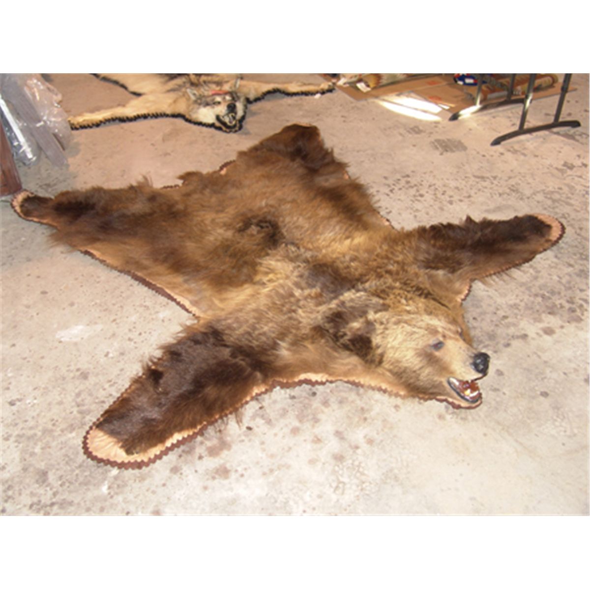 Grizzly Bear Rug