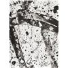 Image 1 : Sam Francis, Opened, Lithograph