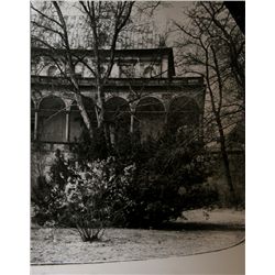 Josef Sudek, A Walk Through Chotek Gardens, Photograph