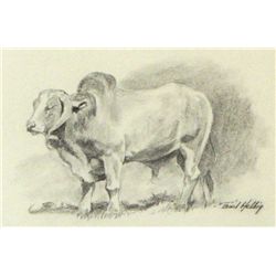 Bud Helbig, Pencil Drawing