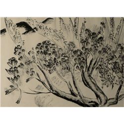 Virginia True Drybrush
