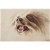 Image 1 : Sandy Scott Colored Etching