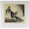 Image 2 : Tom Chouteau Etching