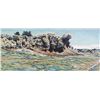 Image 1 : David Rowe Hand Colored Lithograph