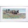 Image 2 : David Rowe Hand Colored Lithograph