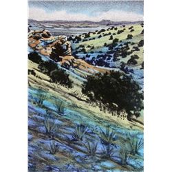 David Rowe Hand Colored Lithograph