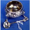 Image 1 : A H/M Silver Victorian salt and spoon, London