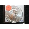 Image 1 : 2012 Silver Eagle $1