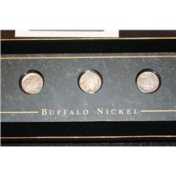 Buffalo nickel in display case, lot of 3, COA included