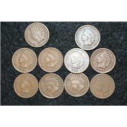 Indian Head penny, various dates & conditions, lot of 10