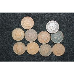 Indian Head penny, various dates & conditions, lot of 10