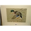 Image 1 : 81/2" X 11" FRAMED WATER COLOUR "MALLARD DUCK