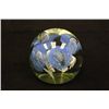 Image 7 : 14 glass paperweights