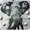 Image 2 : BLACK & WHITE ORIGINAL CANVAS ELEPHANT DEALER SALE