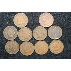 Indian Head penny, various dates & conditions, lot of 10