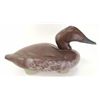 Image 1 : Vintage oversized canvas back duck hen decoy with repaint, 17" long, collector tag on bottom "Animal