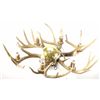 Image 1 : Nicely accomplished antler chandelier with leather wrap center and 6 lights, approx. 29" diameter, w