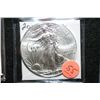 Image 1 : 2012 Silver Eagle $1