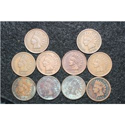 Indian Head penny, various dates & conditions, lot of 10