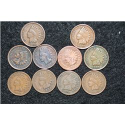 Indian Head penny, various dates & conditions, lot of 10