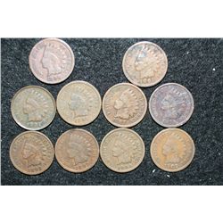 Indian Head penny, various dates & conditions, lot of 10