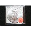 Image 1 : 2012 Silver Eagle $1