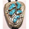 Image 1 : Zuni Turquoise Sterling Silver Snake Bolo Tie - Effie Calavaza