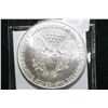 Image 2 : 1996 Silver Eagle $1