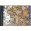 Image 1 : Wheat Back penny, various dates & conditions, lot of 2000+