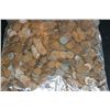 Image 2 : Wheat Back penny, various dates & conditions, lot of 2000+