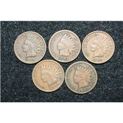 Indian Head penny, various dates & conditions, lot of 5