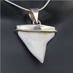 Shark Ivory & Sterling Necklace Earrings (JEW-195)