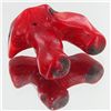 Image 1 : 38ct Red Coral Freeform (MIN-000757)