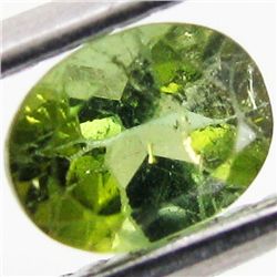 0.42ct Chrome Green Tourmaline Oval (GEM-40705)