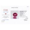 Image 2 : 2.66ct Pink Tourmaline Appraised $963 (GEM-44263)