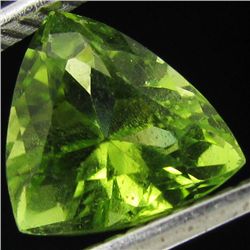 1.7ct Pakistan Peridot Trillion (GEM-21650D)