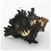 Image 2 : Hand Formed Glass Hermit Crab (DEC-550)