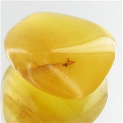 21.7ct Yellow Opal Freeform Cabochon (GEM-34186)