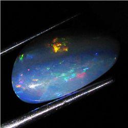 2.95ct Australian Black Opal Doublet Full Fire (GEM-36491)