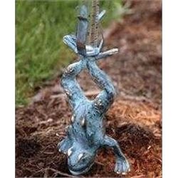 Frog With Rain Gauge