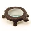 Image 1 : Turtle Magnifying Glass