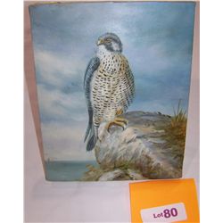 Oil on Canvas Painting of a HAWK Signed Sandy,  canvas framed over stretchers 8T x10W