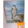 Image 2 : Oil on Canvas Painting of a HAWK Signed Sandy,  canvas framed over stretchers 8T x10W