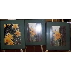 Lot of Three Fine Art Photographs depicting Daffodils matching frames 16 X19