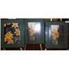 Image 1 : Lot of Three Fine Art Photographs depicting Daffodils matching frames 16 X19
