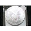Image 2 : 2012 Silver Eagle $1